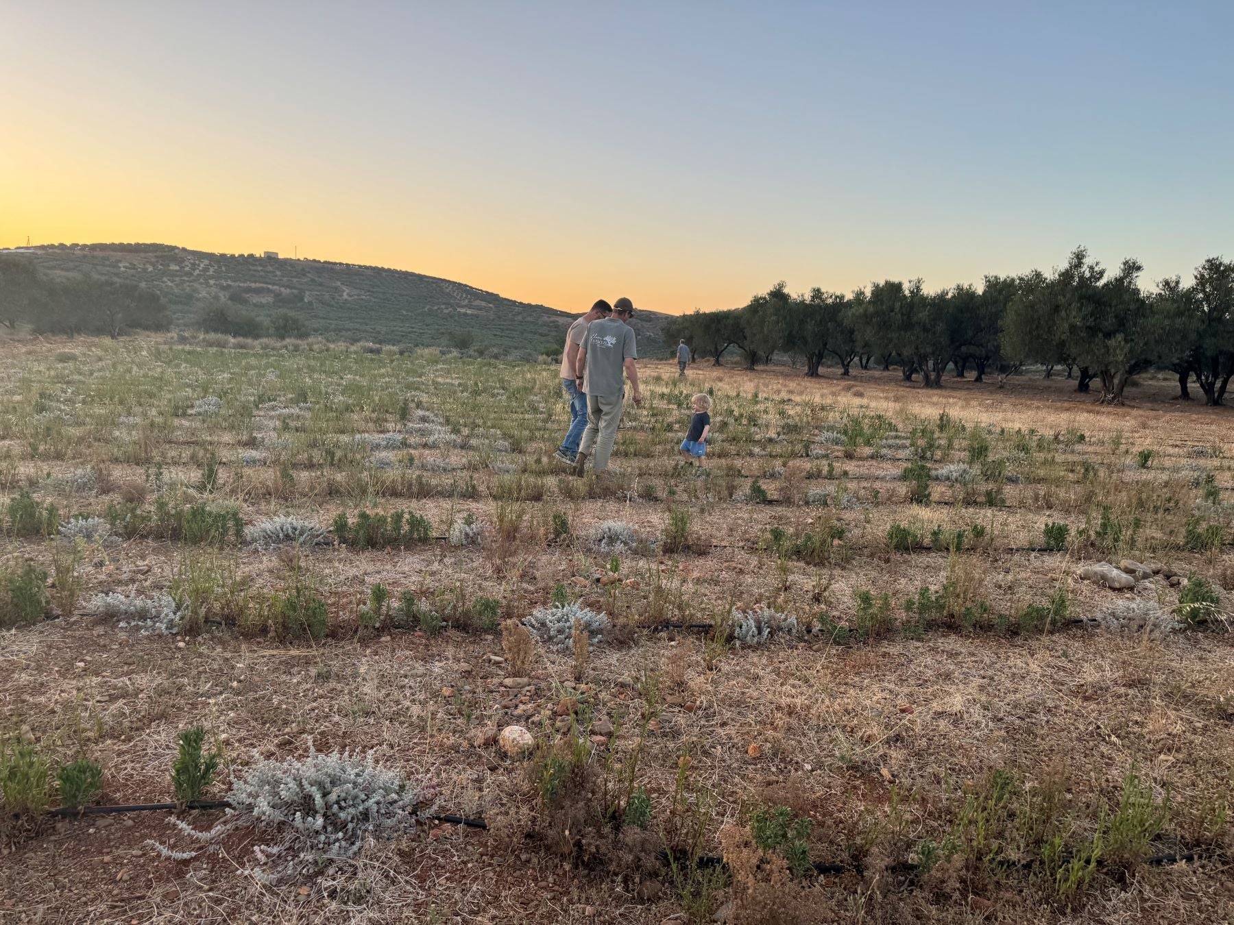 Familie Tradition Kreta Farmer