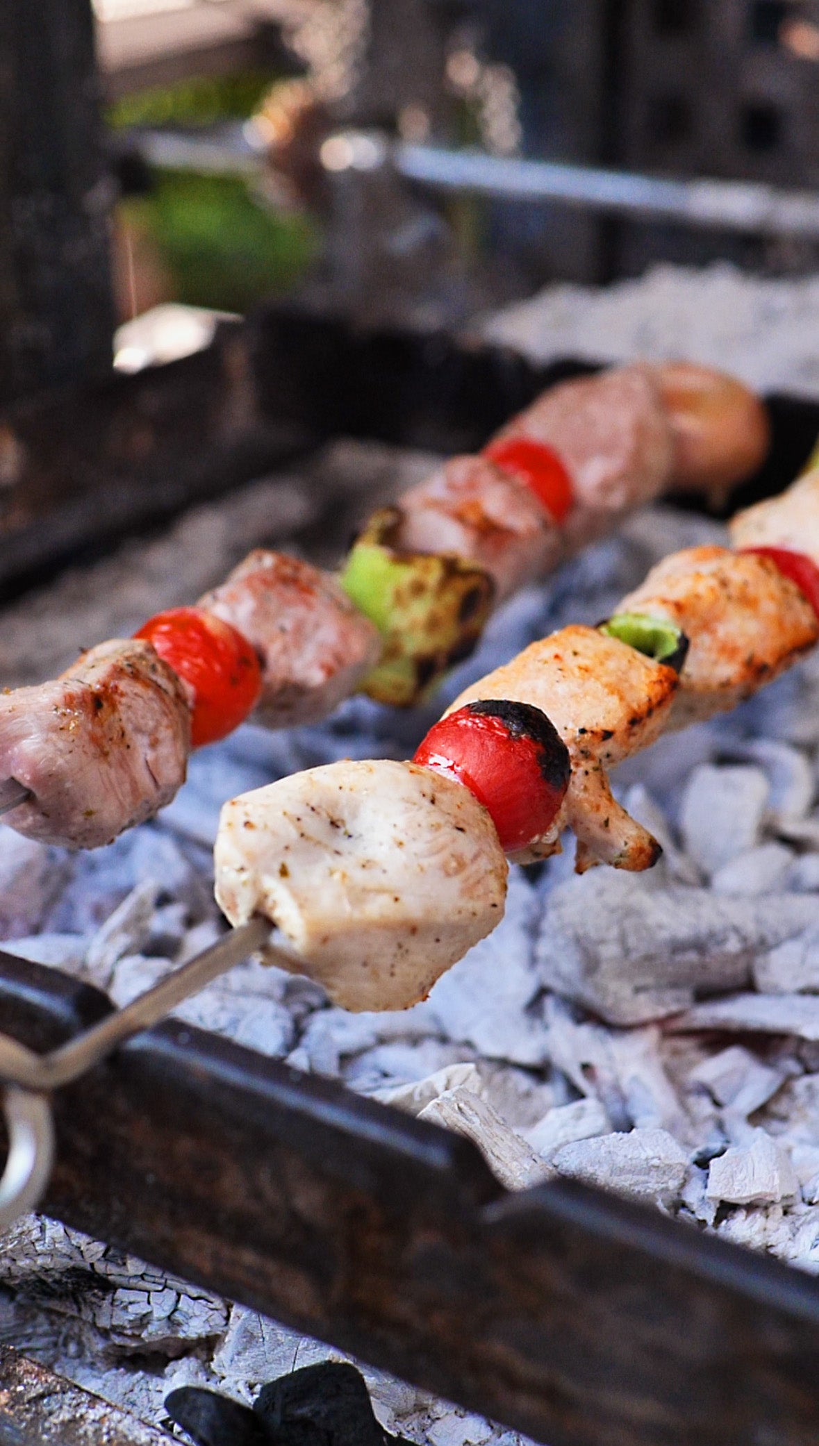 Griechischer Oregano von Kreta