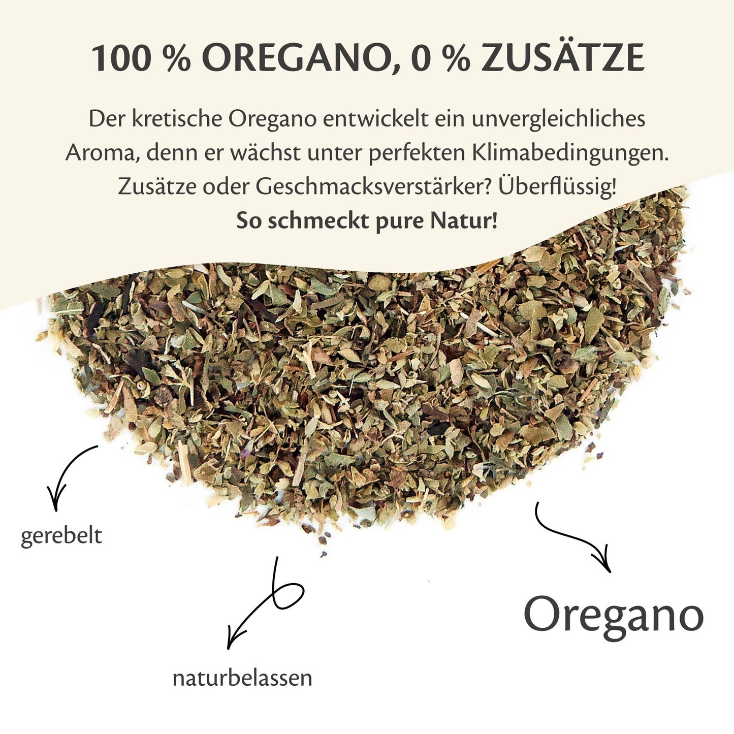 Oregano Gewürz