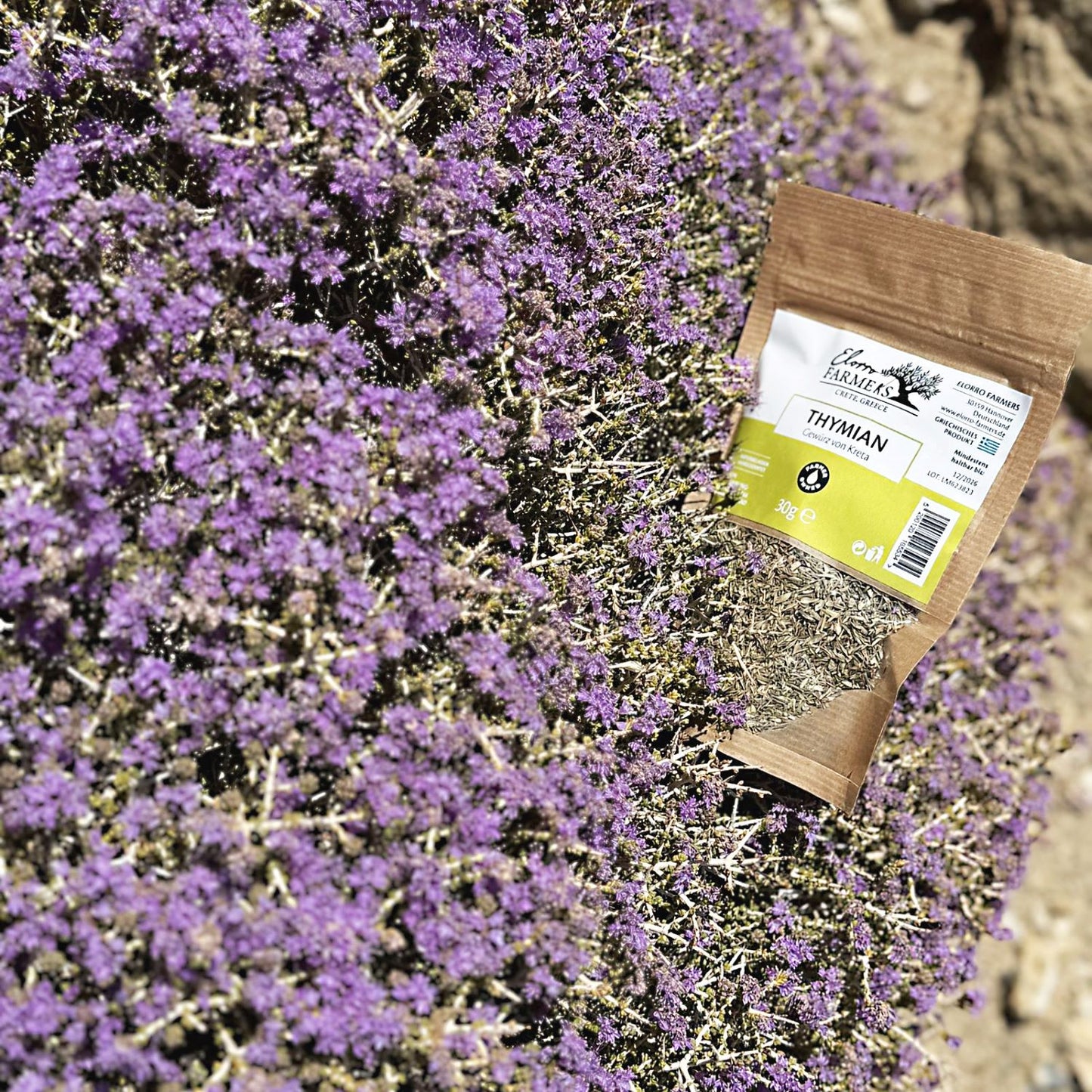 Thymian Gewürz kaufen