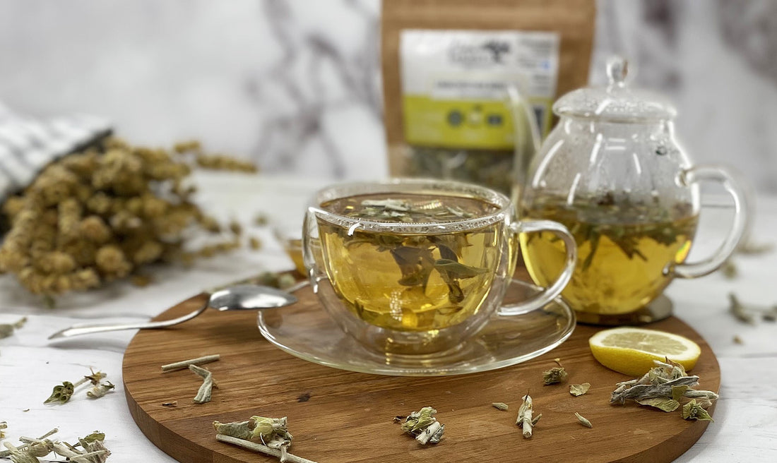 Welcher Tee bei Erkältung hilft – die besten Sorten