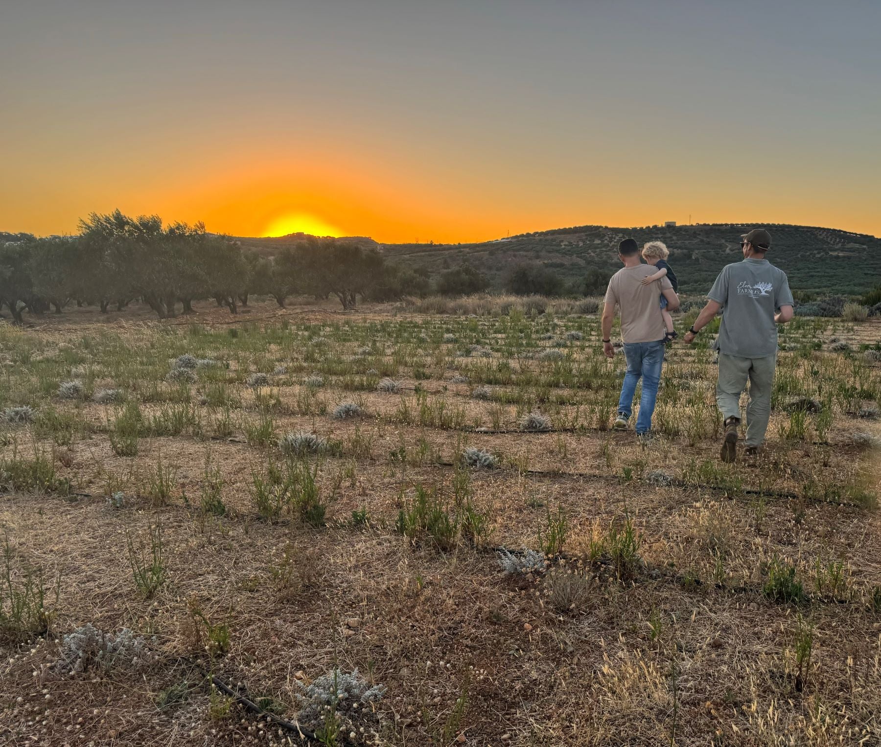 Generationsübergeifend Kreta Farmer Kostas