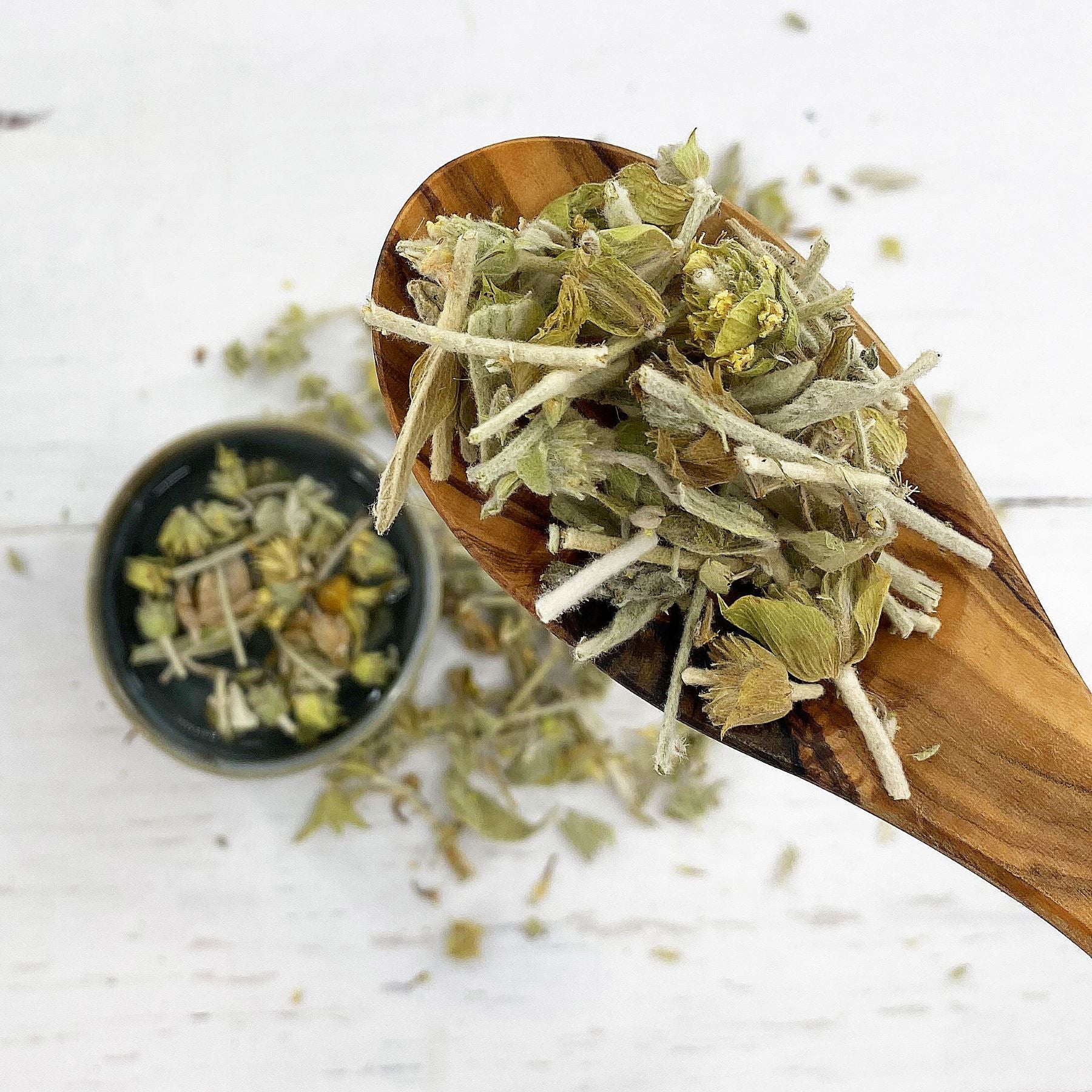 Kreta Sideritis scardica Wirkung