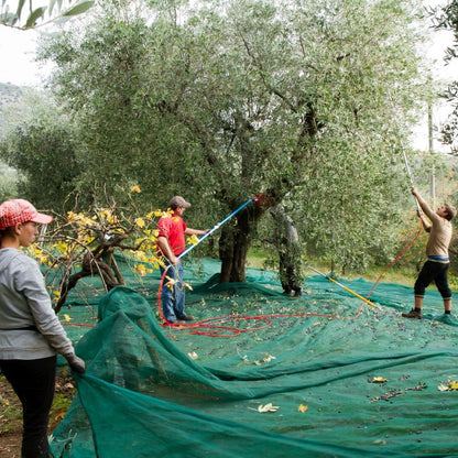 Natives Olivenöl extra sortenrein – von Kreta (500 ml)